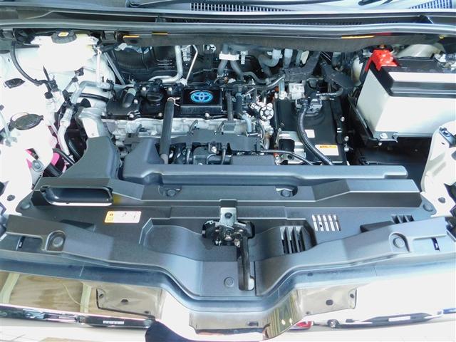 �P�D�W�k�G���W���{�n�C�u���b�h�V�X�e��