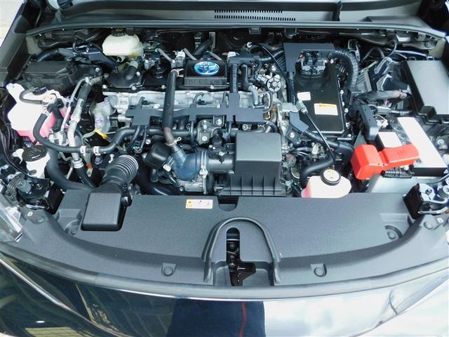 �P�D�W�k�G���W���{�n�C�u���b�h�V�X�e��