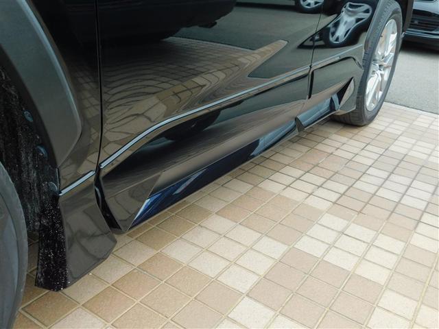 �T�C�h�X�J�[�g