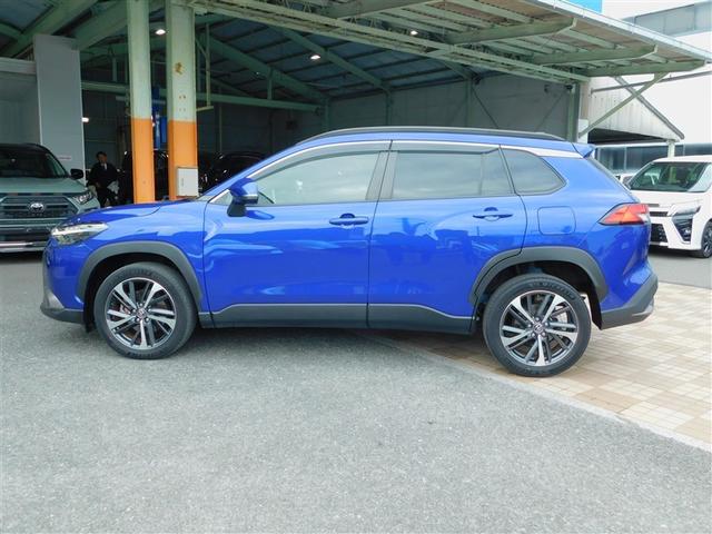 �N�₩�ȃ{�f�B�J���[