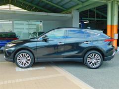 ή��ʥե���ब�͵��Ǥ� 3