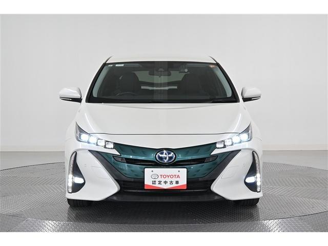 �l�C�̃p�[���z���C�g