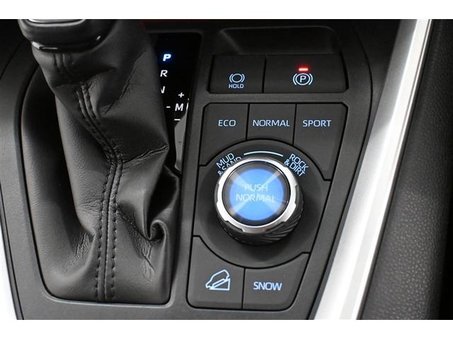 ＲＡＶ４ アドベンチャー　メモリーナビゲーション　カーナビ　元試乗車　点検記録簿　アルミホイル　オートエアコン　ＬＥＤライト　ＥＴＣ車載器　Ｂカメラ　横滑防止装置　クルーズＣ　スマートエントリー　パワステ　イモビライザー（21枚目）