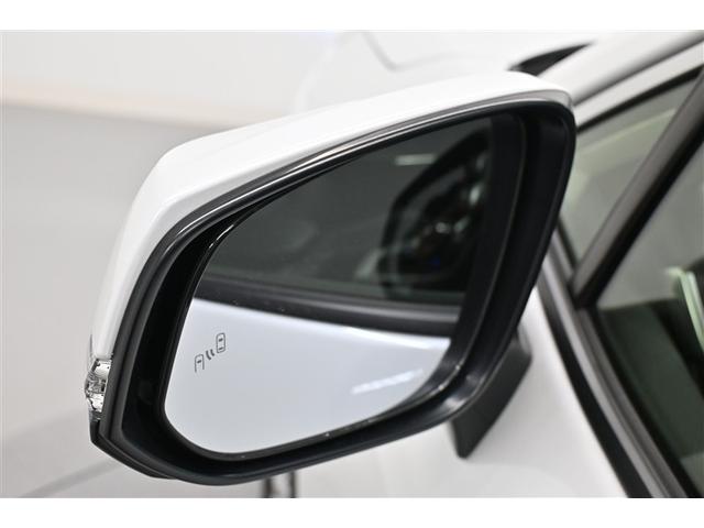 ＲＡＶ４ Ｇ　Ｚパッケージ　ドライブレコーダ　横滑防止装置　Ａクルコン　地デジ　整備記録簿　キーレスエントリー　ＥＴＣ付　スマキー　リアカメラ　助手席エアバッグ　ＬＥＤヘッド　オートエアコン　盗難防止装置　サイドエアバッグ　ＴＶ（35枚目）