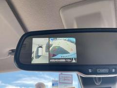 ֤鸫褦ʱǤ롢饦ɥӥ塼˥ǼξդΰǧܤǤǤޤʤͤ㳲ʪǧǤΤǡžΤפǤϤʤɻߤˤΩޤ 5