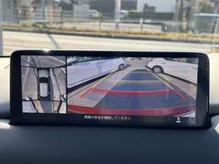 �֤�����鸫���褦�ʱ������Ǥ롢���饦��ɥӥ塼��˥����Ǽ�ξ���դΰ�����ǧ����ܤǤǤ��ޤ��������ʤ����ͤ�㳲ʪ���ǧ�Ǥ���Τǡ���ž�Τ��פ������ǤϤʤ������ɻߤˤ���Ω���ޤ��� 5