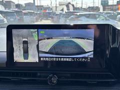 �֤�����鸫���褦�ʱ������Ǥ롢���饦��ɥӥ塼��˥����Ǽ�ξ���դΰ�����ǧ����ܤǤǤ��ޤ��������ʤ����ͤ�㳲ʪ���ǧ�Ǥ���Τǡ���ž�Τ��פ������ǤϤʤ������ɻߤˤ���Ω���ޤ��� 5