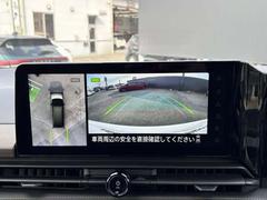 �֤�����鸫���褦�ʱ������Ǥ롢���饦��ɥӥ塼��˥����Ǽ�ξ���դΰ�����ǧ����ܤǤǤ��ޤ��������ʤ����ͤ�㳲ʪ���ǧ�Ǥ���Τǡ���ž�Τ��פ������ǤϤʤ������ɻߤˤ���Ω���ޤ��� 5