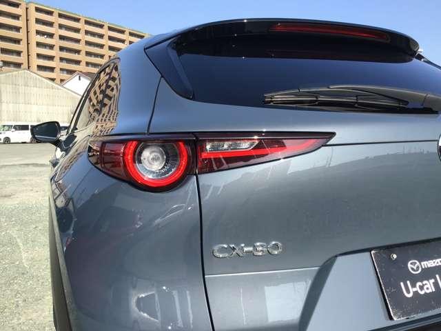 �����I�ȃ��C�g���ł��I