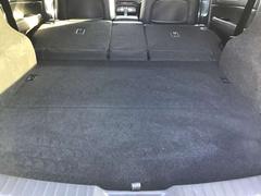 ʤݤȤʤι礭ʲʪ饯饯Ѥޤ衪 6