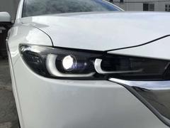 �̣ţĥإåɥ����������������Ϥ����ʤ����뤤�Τ�������Ԥ�¿����Ʊ�ž����ޤ��� 5