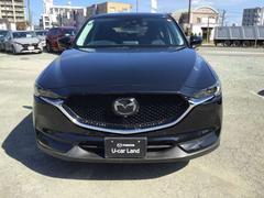 ãءݣ أġץƥ֡ǥ륿ܡʥ 0800769A20251026Z002 5