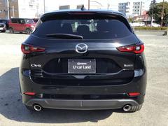 �ãءݣ� ���������أġ����ݡ��ġ����ԥ���󥹡��ǥ������륿���� 0800769A20260201Z001 7