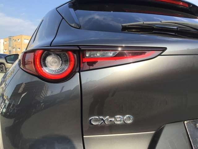 ＣＸ－３０ ２．０　２０Ｓ　Ｌパッケージ　ナビ／ＨＤＭＩ／ＣＤ／ＤＶＤ／ＵＳＢ／ＣａｒＰｌａｙ／全方位モニ　ＰＷバックドア　ＵＳＢ接続　アルミ　衝突軽減Ｂ　シートヒータ　アイスト　横滑り防止機能　ＡＢＳ　ＢＴオーディオ　ＡＴハイビーム　地デジ（10枚目）