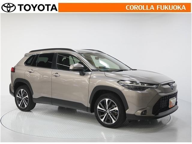 ������������S�I�����̓J���[�������T�[�r�X�F�؍H��ɂ��C�����������B