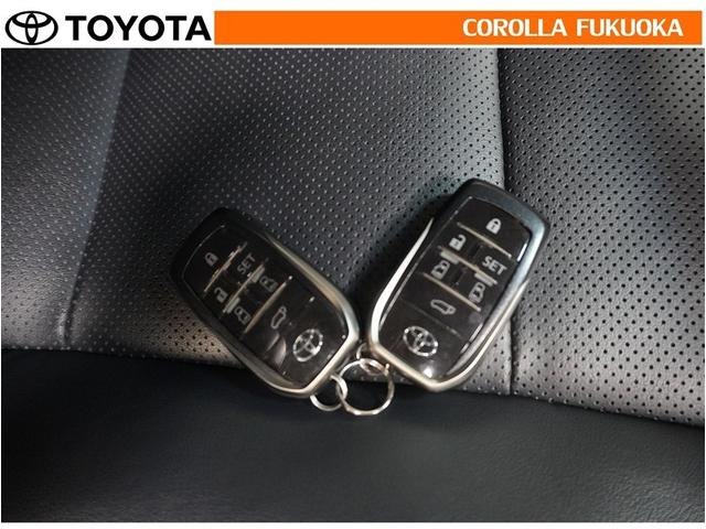 アルファードハイブリッド SR 衝突被害軽減システム 4WD 両側電動スライド メモリーナビ フルセグ ETC バックカメラ 後席モニター CD DVD再生 キーレス スマートキー 盗難防止装置(34枚目)