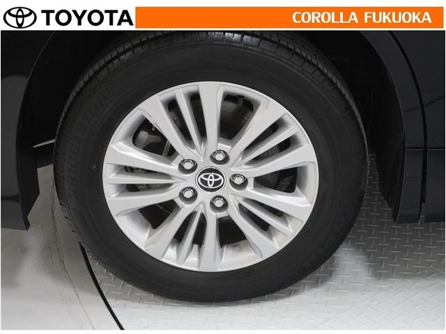 ���q�l�̃J�[���C�t���T�|�[�g�I���S�A���S�����b�g�[�ɁA���̂��Ԃ̔[�Ԏ��ɂ̓^�C�����S�{�V�i�����������܂��B