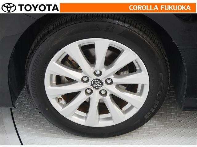 ���q�l�̃J�[���C�t���T�|�[�g�I���S�A���S�����b�g�[�ɁA���̂��Ԃ̔[�Ԏ��ɂ̓^�C�����S�{�V�i�����������܂��B