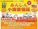 割賦購入特典！納車日から１年間、バンパー等の車対物の損害やいたずらを４．５万円まで保証！（免責５．５００円）