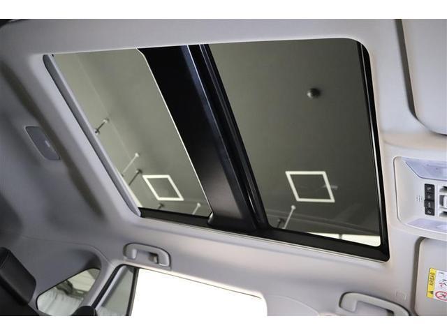 �����ɑu�₩�ȕ��ƌ����̂荞�ރT�����[�t�t���I