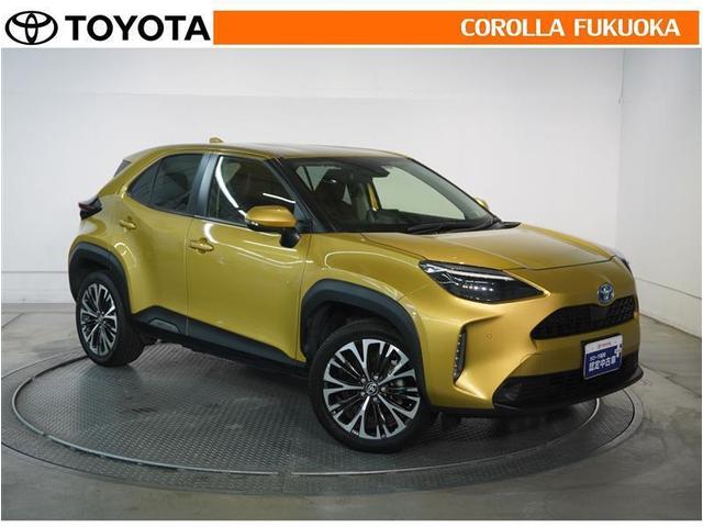 ������������S�I�����̓J���[�������T�[�r�X�F�؍H��ɂ��C�����������B