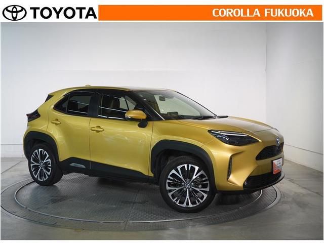 ������������S�I�����̓J���[�������T�[�r�X�F�؍H��ɂ��C�����������B