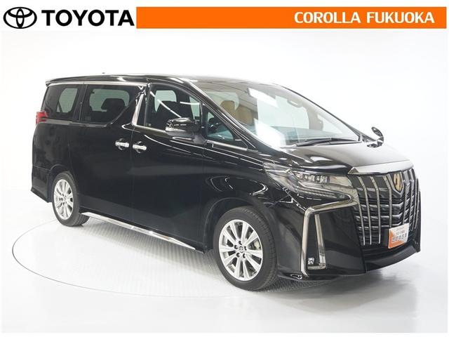 アルファード 2.5S タイプゴールド 衝突被害軽減システム 両側電動スライド メモリーナビ フルセグ ETC バックカメラ ドラレコ CD DVD再生 キーレス スマートキー 盗難防止装置(10枚目)