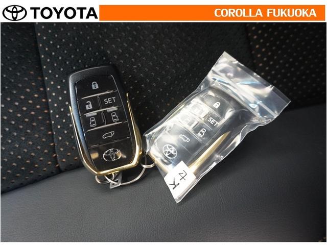 アルファード 2.5S タイプゴールド 衝突被害軽減システム 両側電動スライド メモリーナビ フルセグ ETC バックカメラ ドラレコ CD DVD再生 キーレス スマートキー 盗難防止装置(34枚目)