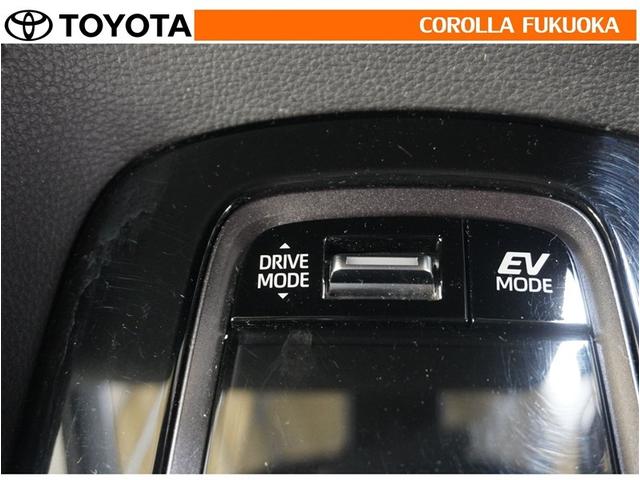 カローラ ハイブリッド ダブルバイビー 衝突被害軽減システム メモリーナビ フルセグ ETC バックカメラ キーレス スマートキー 盗難防止装置(24枚目)