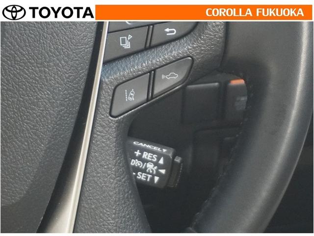 アルファード ＸサイドリフトＵＰチルト　衝突被害軽減システム　福祉車両　両側電動スライド　フルセグ　ＥＴＣ　バックカメラ　後席モニター　キーレス　スマートキー　盗難防止装置（21枚目）