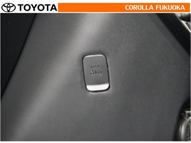 ルーミー カスタムＧ－Ｔ　衝突被害軽減システム　両側電動スライド　フルセグ　ＥＴＣ　バックカメラ　キーレス　スマートキー　アイドリングストップ　盗難防止装置（31枚目）