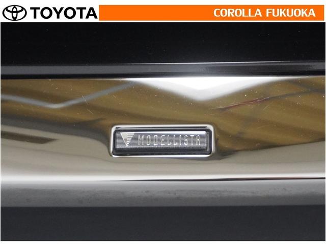 ヴェルファイア ２．５Ｚ　Ｇエディション　衝突被害軽減システム　両側電動スライド　フルセグ　ＥＴＣ　バックカメラ　後席モニター　ＣＤ　ＤＶＤ再生　キーレス　スマートキー　盗難防止装置（34枚目）