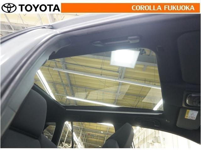 ���邢��̎����A����̎����A�G�߂������Ȃ���J�����Ƌ��ɑu���ȃh���C�u���y����ł��������B