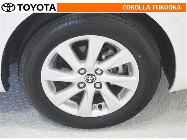 ���q�l�̃J�[���C�t���T�|�[�g�I���S�A���S�����b�g�[�ɁA���̂��Ԃ̔[�Ԏ��ɂ̓^�C�����S�{�V�i�����������܂��B