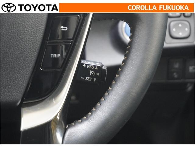 �������H�Ȃǂ����̑��x�ő��s�������ꍇ�ɁA�X�C�b�`�𑀍삷�邱�ƂŃA�N�Z���y�_���𓥂܂��ɒ葬���s�ł��܂��B