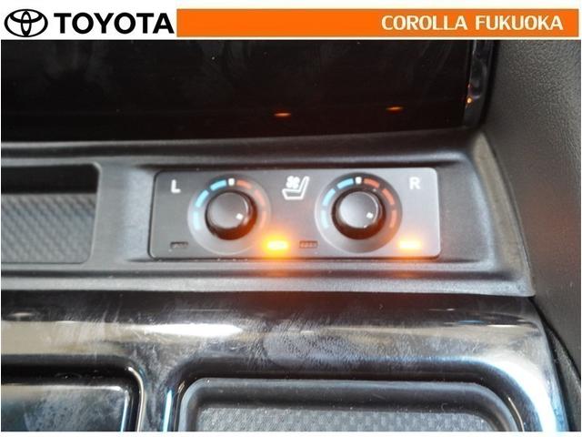 アルファード ２．５Ｓ　Ｃパッケージ　衝突被害軽減システム　両側電動スライド　メモリーナビ　フルセグ　ＥＴＣ　バックカメラ　ドラレコ　後席モニター　キーレス　スマートキー　盗難防止装置（28枚目）