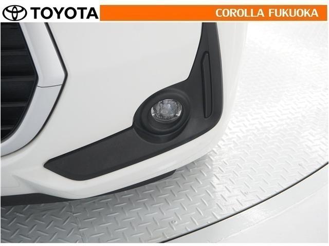 �J�▶�Ȃǂ̈��V�󉺂ł̎��E���m�ۂ��܂��B