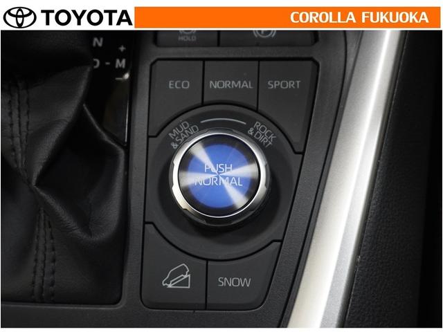 �J���Ȃǂ̊���₷���H�ʁA�͂̂���I�t���[�h���s�ɂ��K�����܂��B