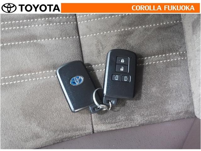 エスクァイア ハイブリッドＧｉ　プレミアムパッケージ　衝突被害軽減システム　両側電動スライド　メモリーナビ　フルセグ　ＥＴＣ　バックカメラ　ドラレコ　ＣＤ　ＤＶＤ再生　キーレス　スマートキー　盗難防止装置（30枚目）