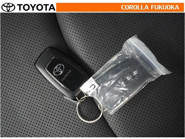 �g���^�J���[�������i���j�̍݌ɂ��������������L��������܂��B����Ƃ��������̒��A�X�������肢�\���グ�܂��B