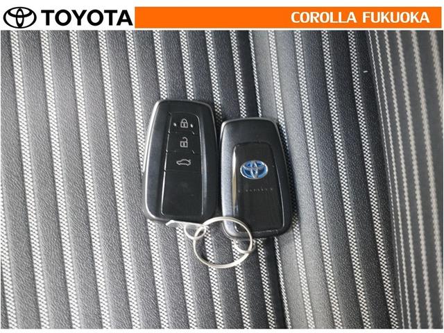 �g���^�J���[�������i���j�̍݌ɂ��������������L��������܂��B����Ƃ��������̒��A�X�������肢�\���グ�܂��B