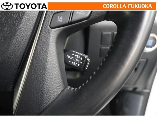 アルファード ２．５Ｓ　タイプゴールド　衝突被害軽減システム　両側電動スライド　メモリーナビ　フルセグ　ＥＴＣ　バックカメラ　ドラレコ　後席モニター　ＣＤ　ＤＶＤ再生　キーレス　スマートキー　盗難防止装置（24枚目）