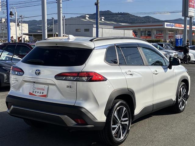 ��ϐ\���󂠂�܂��񂪁A�����X�̏㌻�Ԋm�F��̔̔��Ƃ����Ă��������Ă���܂��B�������������B