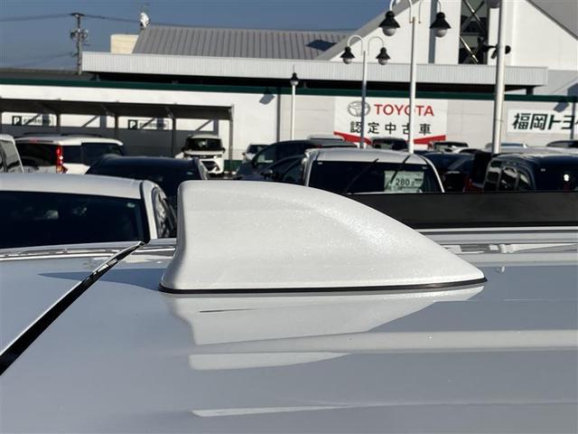 �ƂĂ��������ȁu�h���t�B���A���e�i�v�ł��B