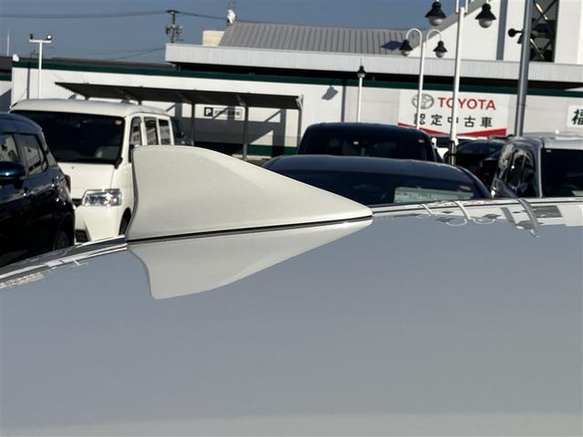 �ƂĂ��������ȁu�h���t�B���A���e�i�v�ł��B