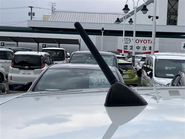 �|�[�����A���e�i�ƂȂ�܂���