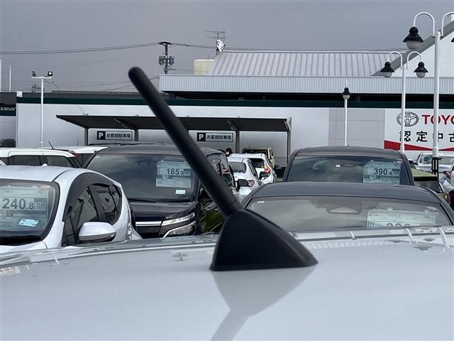 ������̂��Ԃ̓|�[�����A���e�i�ƂȂ�܂��I