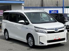 Ǽ顢ǯ̵¤ݾڤդƤޤ¿ƤꤤޤޤݾڱĹ⤴ޤܤϤҤͤ 6