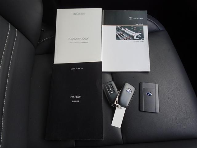 NX NX300h Iパッケージ 衝突被害軽減システム メモリーナビ フルセグ バックカメラ ETC ドラレコ LEDヘッドランプ スマートキー(30枚目)