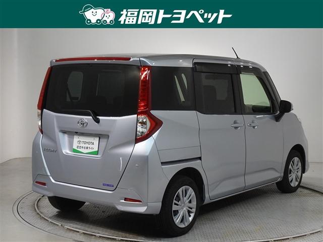 �F�͐����ȃu���C�g�V���o�[���^���b�N�ł��B